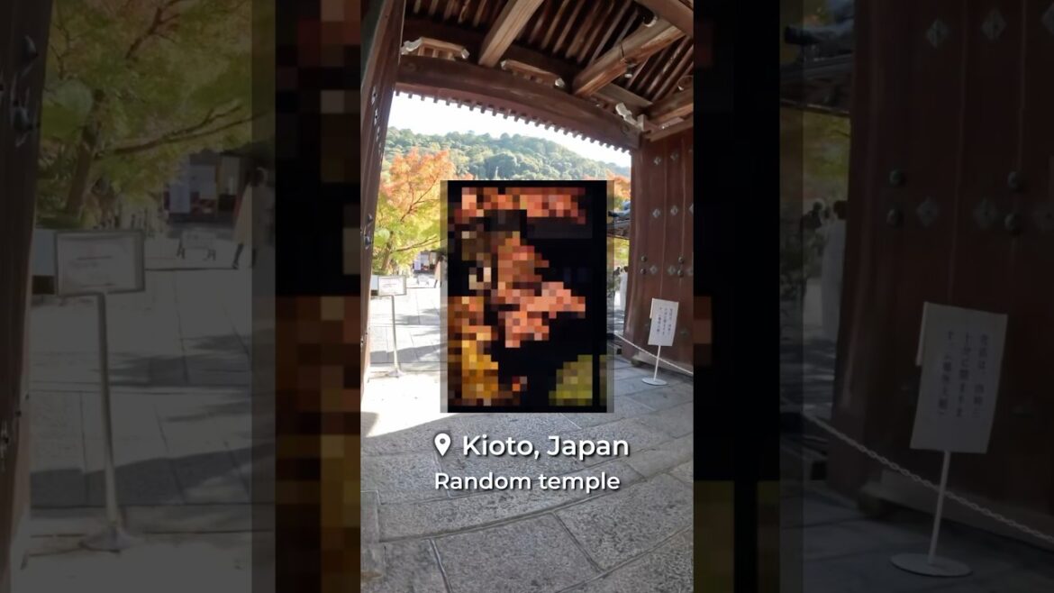 Would YOU take THIS photo? #kyoto #japan