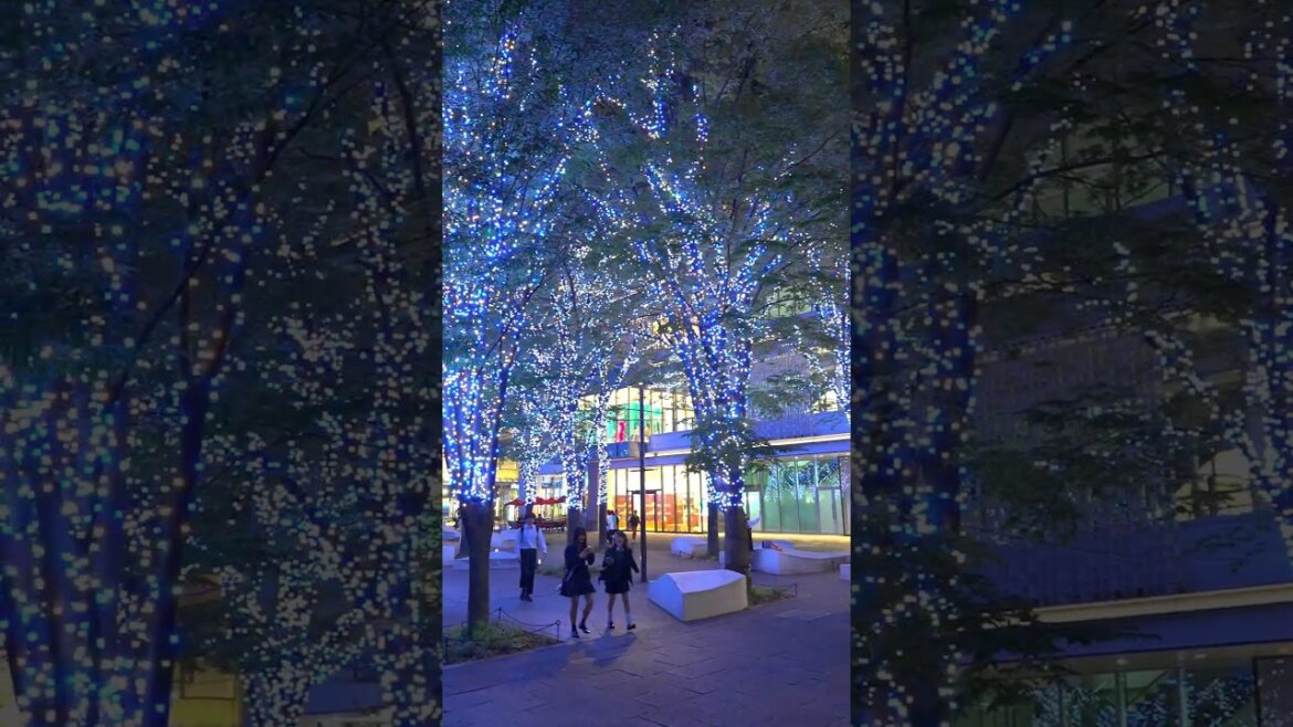 STOP Missing Out on 2024's Best Illumination Experience at Yokohama!
