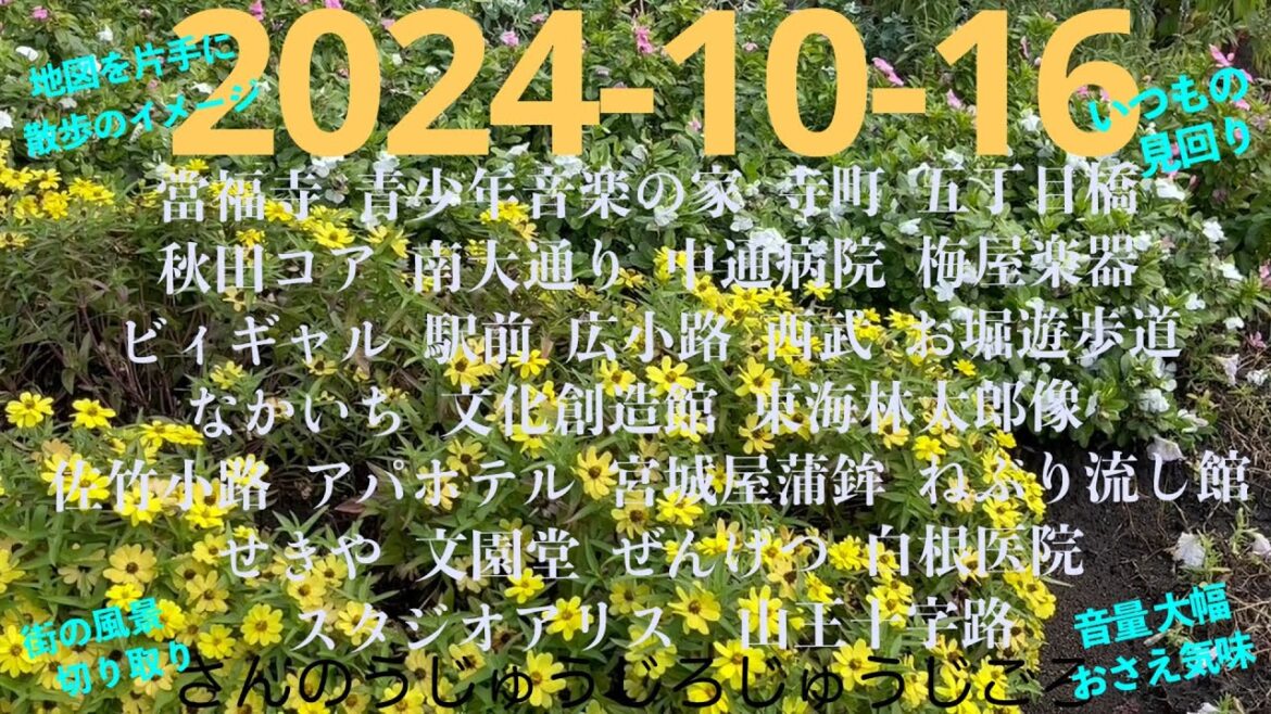 2024-10-16さんのうじゅうじろじゅうじごろ