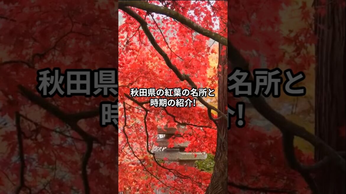 秋田県の紅葉の名所と時期の紹介 #asiantravel #japantravel