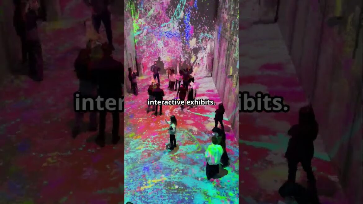 Tokyo Japan Top 5 Places To Visit 🇯🇵  #travel #japan #facts