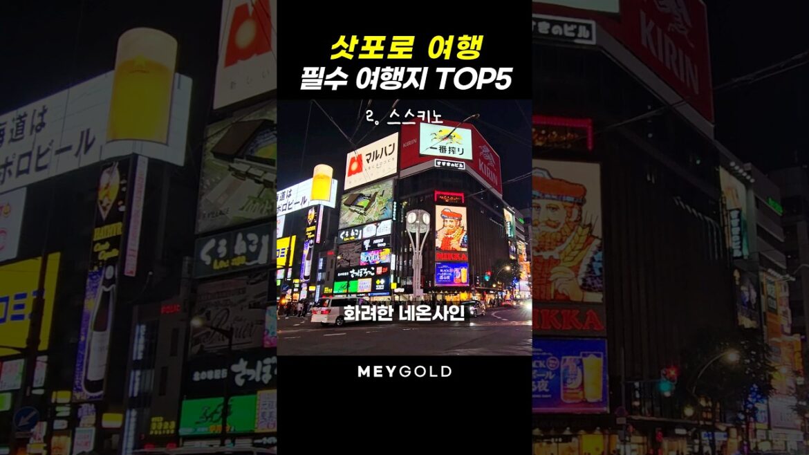 삿포로에서 꼭 가봐야하는 여행지 60초 요약!✨️