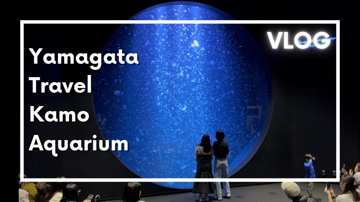 Yamagata Kamo aquarium, travel vlog day in my life in Japan