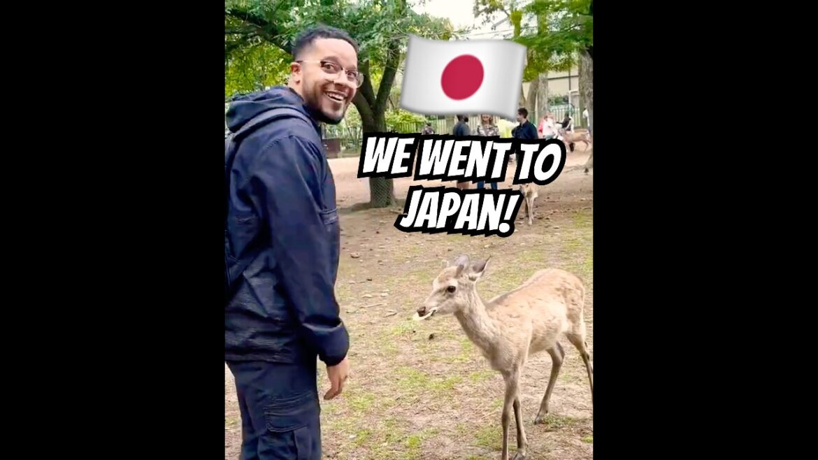 When the plans make it out the group chat 🇯🇵 #japan #japantravel #tokyo #kyoto #osaka #shibuya
