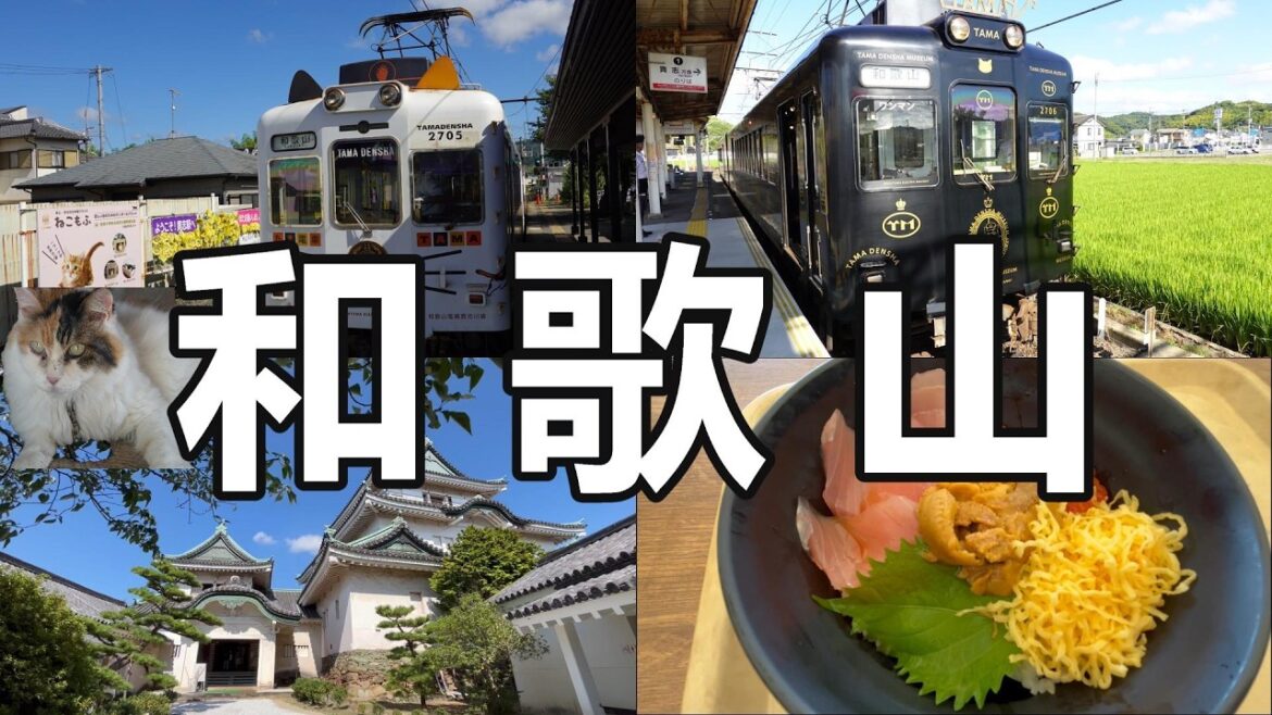 日本 和歌山 | 小玉電車、貓站長、黑潮市場 、歌山城 | 和歌山電鐵、貴志川線、伊太祁曽神社、海鮮蓋飯   #和歌山 #黑潮市場 #小玉電車