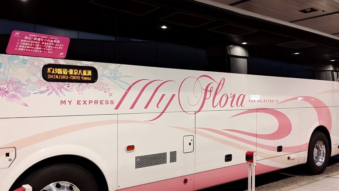 【徳島~東京15,200円!】渦潮と眉山を観て、最高級夜行バス「マイ・フローラ」で関東へ帰る旅! 【徳島~東京15,200円!】渦潮と眉山を観て、最高級夜行バス「マイ・フローラ」で関東へ帰る旅!