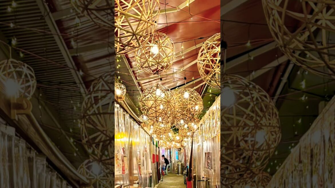 쿠마모토 야타이무라(포장마차 마을) #kumamoto, #japantravel