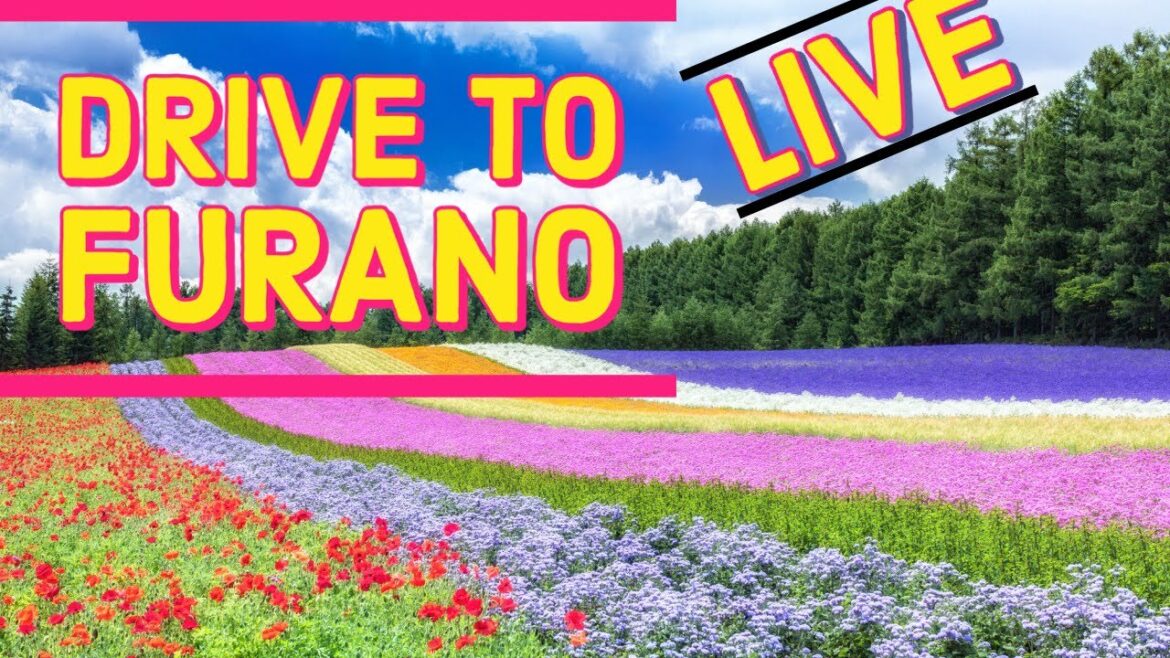 Driving to Furano. #livestream #hokkaido  #japan #furano