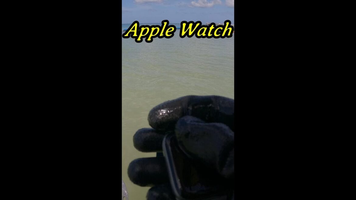 We found our first Apple watch! #metaldetecting