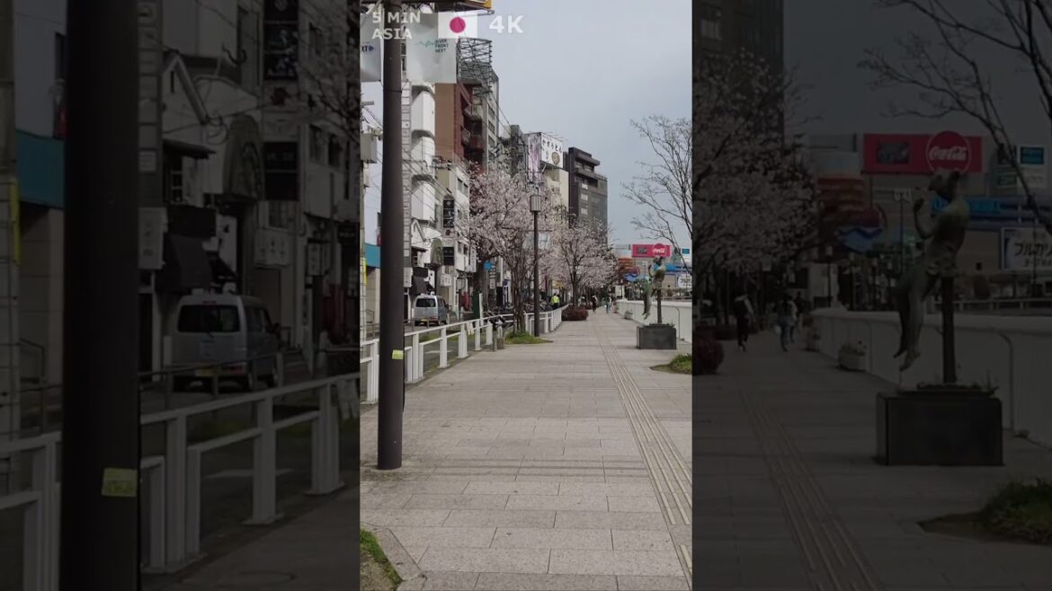 🇯🇵 Visit #Fukuoka in #Japan with us! #Shorts 🇯🇵 Visit #Fukuoka in #Japan with us! #Shorts