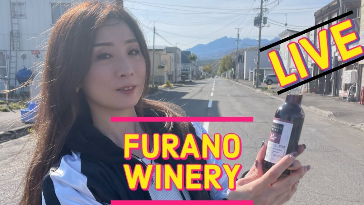 Furano Winery free tasting 富良野ワイナリー無料試飲会 livestream #hokkaido #japan #furano Furano Winery free tasting 富良野ワイナリー無料試飲会 livestream #hokkaido #japan #furano