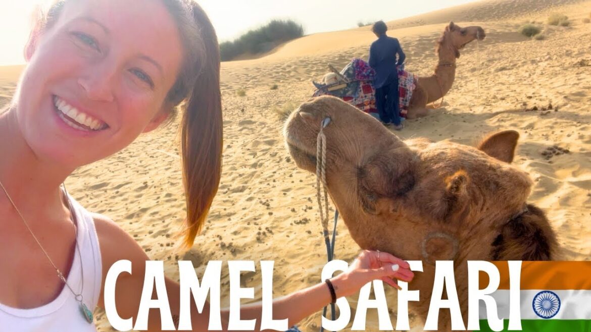 Thar Desert Camel Safari (Sam Sand Dunes) ๐ฎ๐ณ Rajasthan, India Travel Vlog Thar Desert Camel Safari (Sam Sand Dunes) ๐ฎ๐ณ Rajasthan, India Travel Vlog
