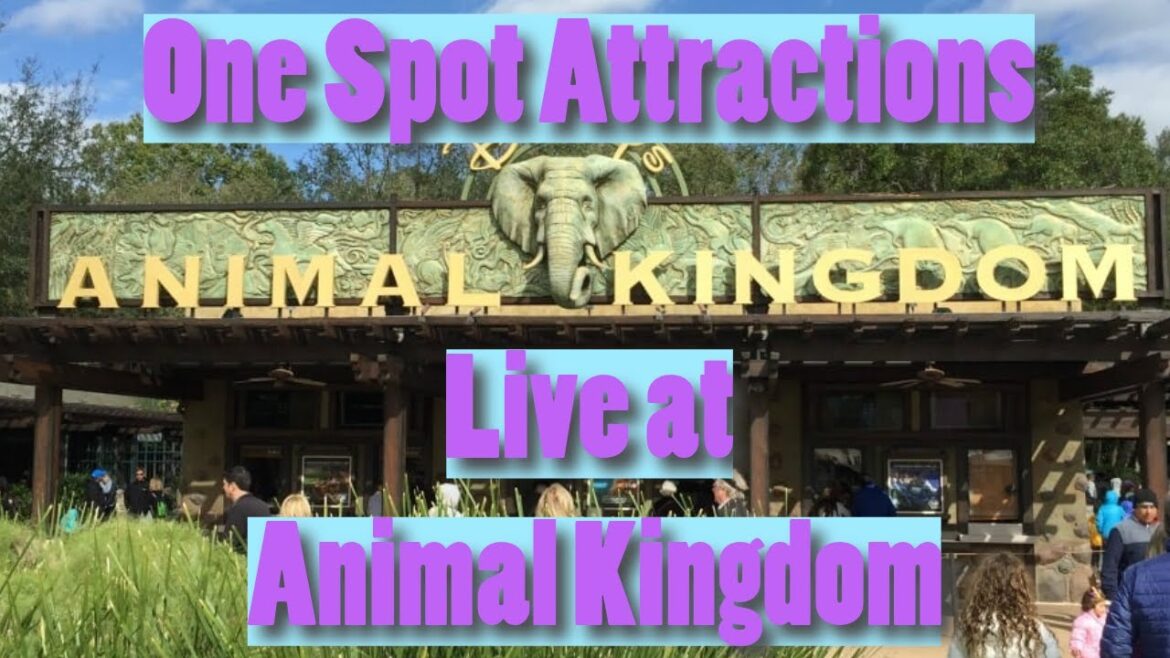 One Spot Attractions is live at Disney’s Animal Kingdom! One Spot Attractions is live at Disney's Animal Kingdom!