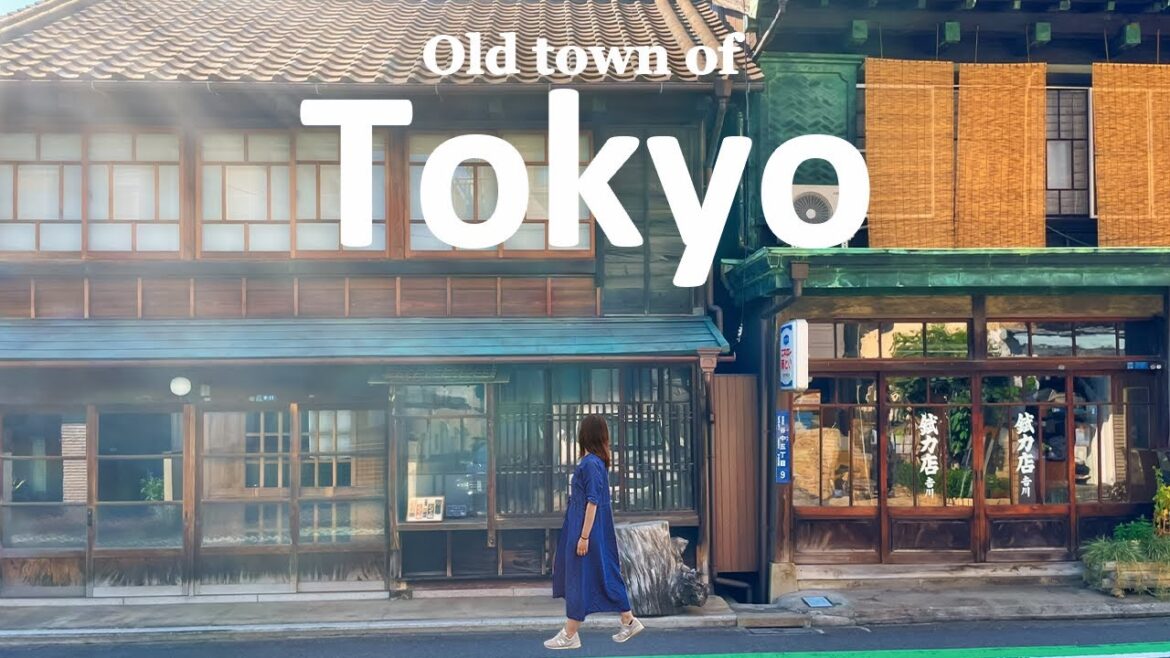 Day Trip to Old Town of Tokyo | Yanaka Ginza & Ueno Park | JAPAN TRAVEL VLOG Day Trip to Old Town of Tokyo | Yanaka Ginza & Ueno Park | JAPAN TRAVEL VLOG