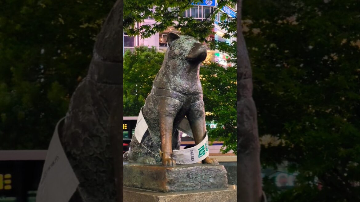 One of the famous landmarks not only in Tokyo but the entire Japan – HACHIKO Memorial Statue One of the famous landmarks not only in Tokyo but the entire Japan - HACHIKO Memorial Statue