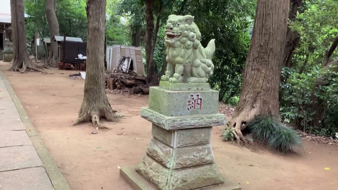 Japan normal life / walk & eat & live in japan / chiba / kashiwa.