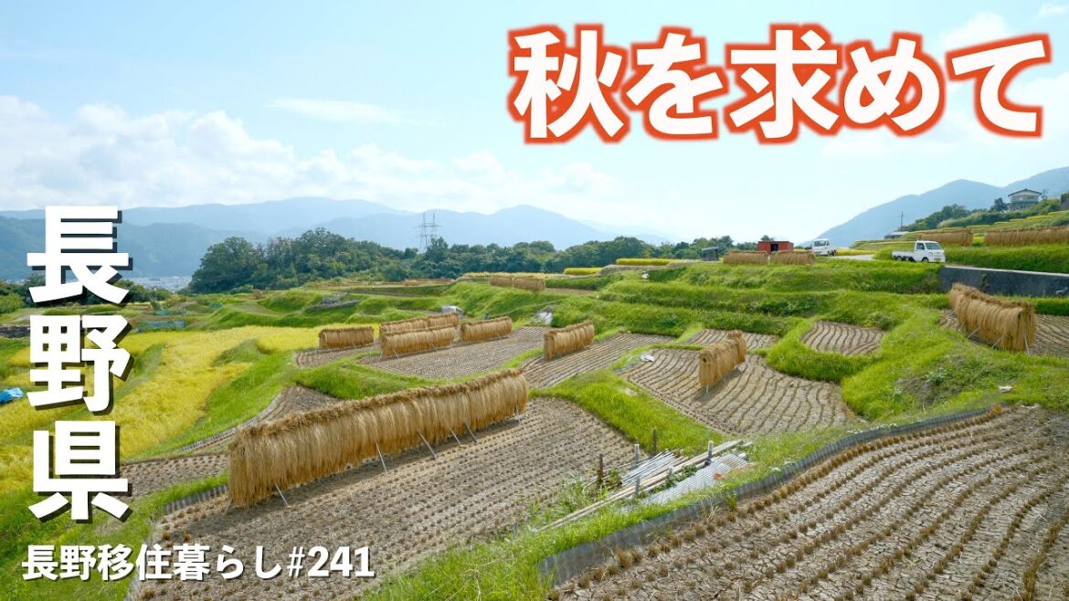 【長野移住】ようやく秋が来たので秋を感じに行ってみたら・・・!!|戸倉上山田温泉|姨捨の棚田|EcoFlow DELTA 3 Plus|ドライブ|田舎暮らし|長野県|4K 【長野移住】ようやく秋が来たので秋を感じに行ってみたら・・・!!|戸倉上山田温泉|姨捨の棚田|EcoFlow DELTA 3 Plus|ドライブ|田舎暮らし|長野県|4K