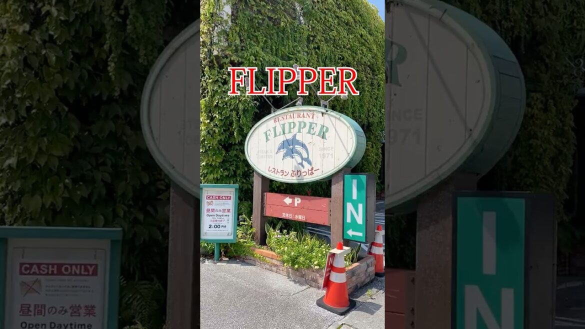 【ふりっぱー】は名護の地元で人気のステーキハウスです。外壁が蔦で覆われています。駐車場から海が見えます。お肉は柔らかくて、特製ソースがお勧めです。#shorts