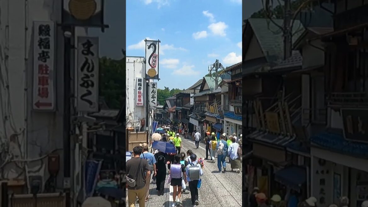 A livly traditional street #traveljapan #chiba #traditional
