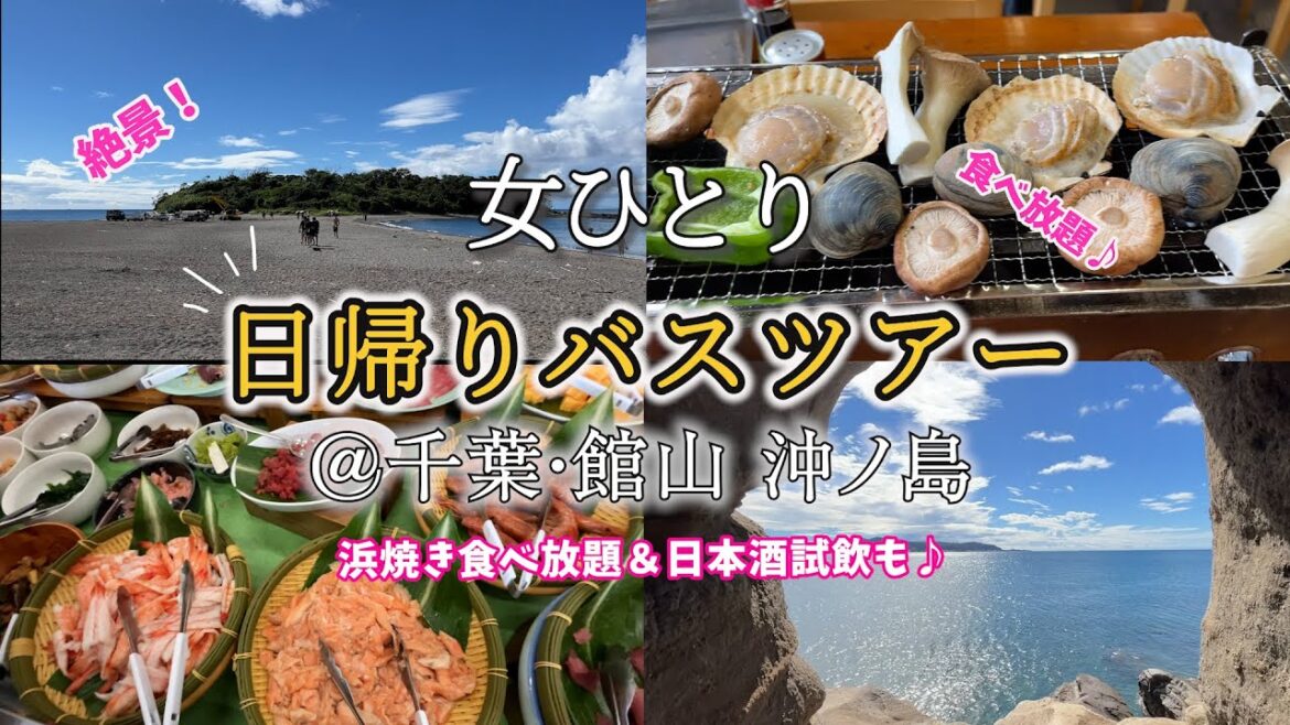 【ひとり日帰りバスツアー】千葉房総！館山・沖ノ島の海が透明度高すぎて感動！海鮮浜焼き食べ放題に日本酒も飲み放題で大満足♪