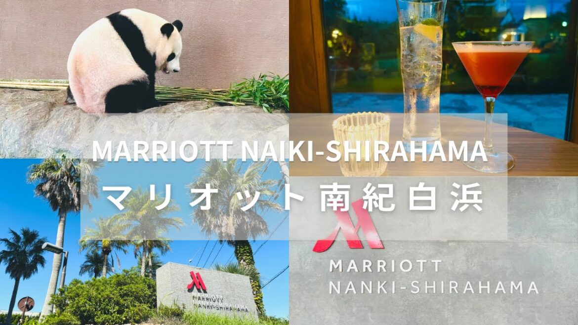 【ラウンジ&温泉付ルーム滞在記】マリオット南紀白浜 パンダ見放題!アドベンチャーワールド日本のワイキキ白良浜 アラ還夫婦旅 marriott巡り 【ラウンジ&温泉付ルーム滞在記】マリオット南紀白浜 パンダ見放題!アドベンチャーワールド日本のワイキキ白良浜 アラ還夫婦旅 marriott巡り