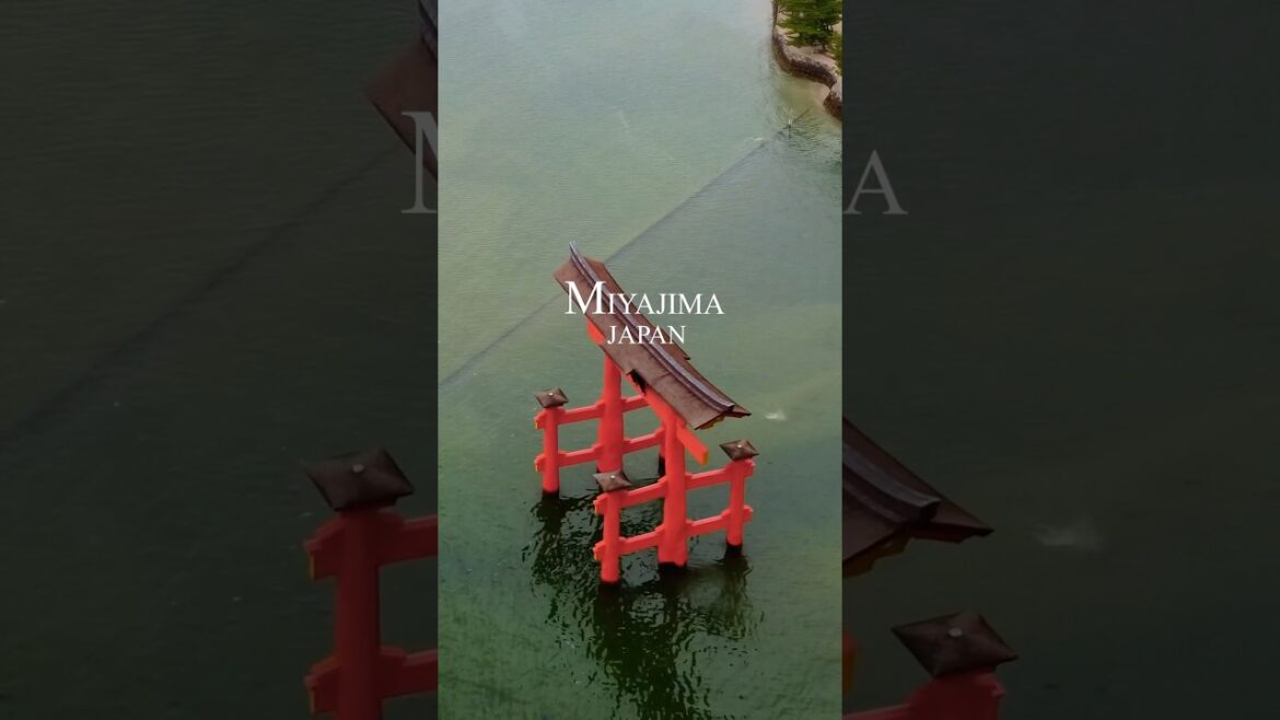 Miyajima Japan                    #travel #japan #miyajima #shorts