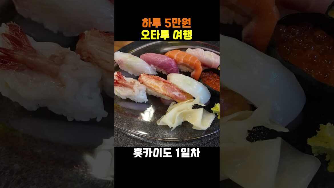 숙소 포함 하루 5만원, 짠내나는 오타루 여행 1분 요약