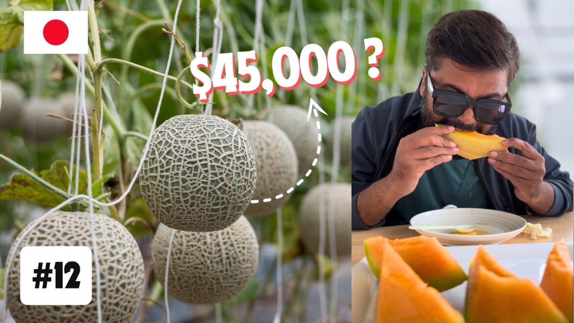 I Tried World's Most Expensive FRUIT in JAPAN 🇯🇵 | EP 12 - THE KING OF MELONS