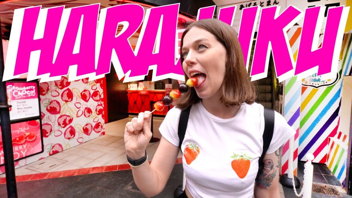 Harajuku Tokyo Travel Guide 🇯🇵 BEST Street Food, Shopping & Cute Pet Cafes