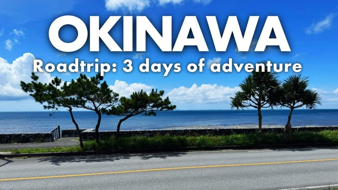 3-Day Okinawa Road Trip: Hidden Gems from Naha to Nago (Travel Guide) 3-Day Okinawa Road Trip: Hidden Gems from Naha to Nago (Travel Guide)