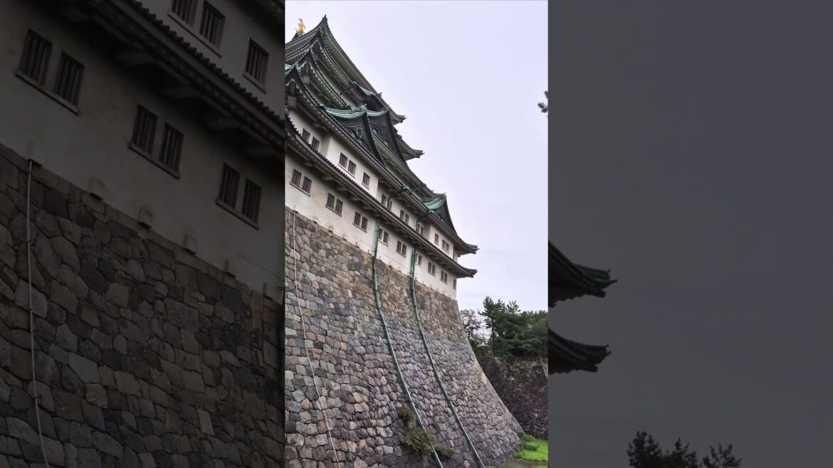 #Nagoya #Castle 🏯 A symbol of Japan’s feudal era, a #fortress known for its golden shachihoko