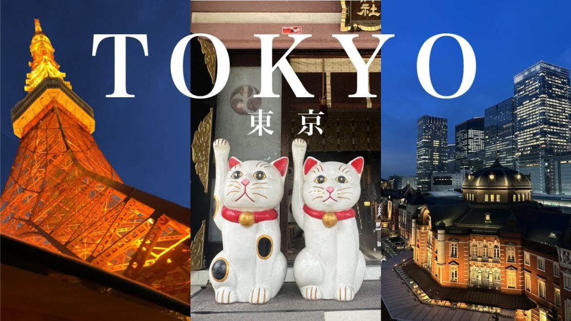 母娘旅✈東京vlog🗼招き猫神社/スカイバス/夜景/皇居...🌸お勧めスポット｜Tokyo Japan