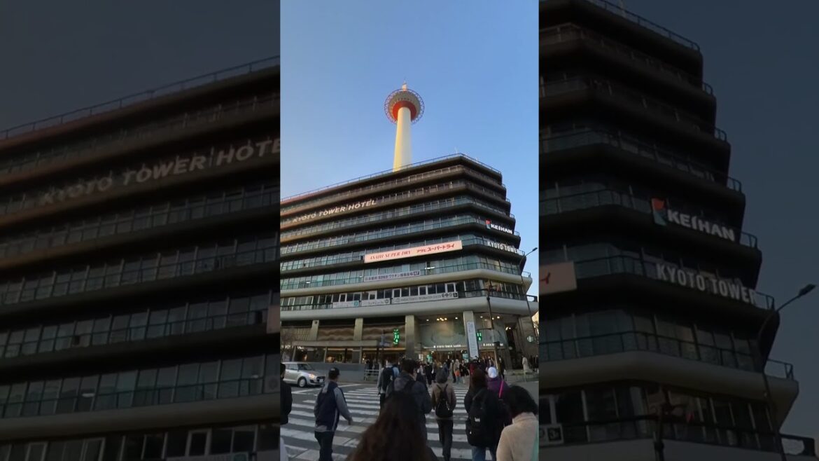 Kyoto Local Notices My 360 Camera #shorts #kyototower