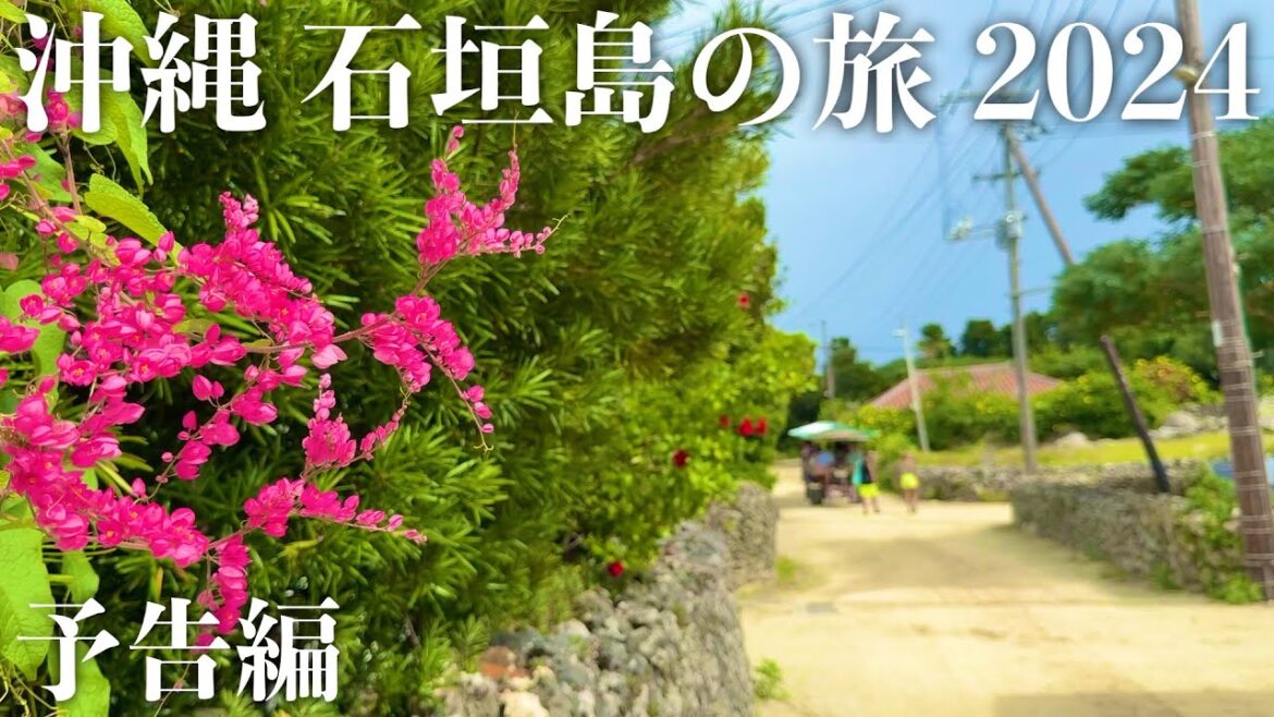 【沖縄旅行】石垣島の旅 2024 予告編 【沖縄旅行】石垣島の旅 2024 予告編