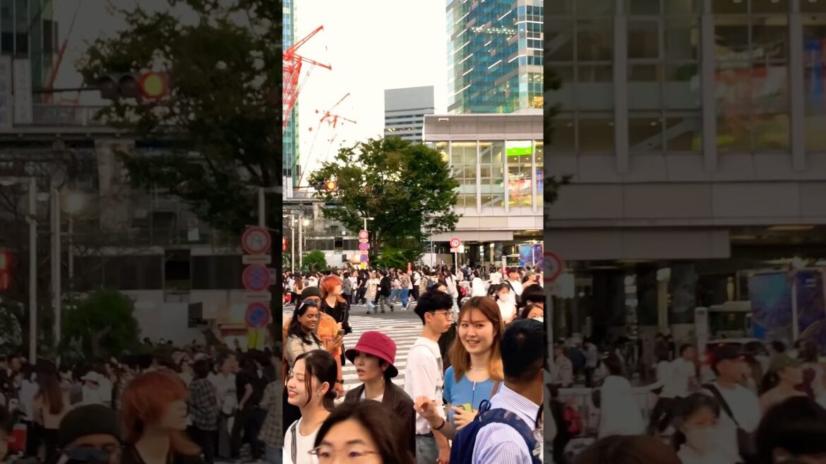 Shibuya Scramble Crossing #japan #travel #japanwalk #foryou #viralshorts #shorts
