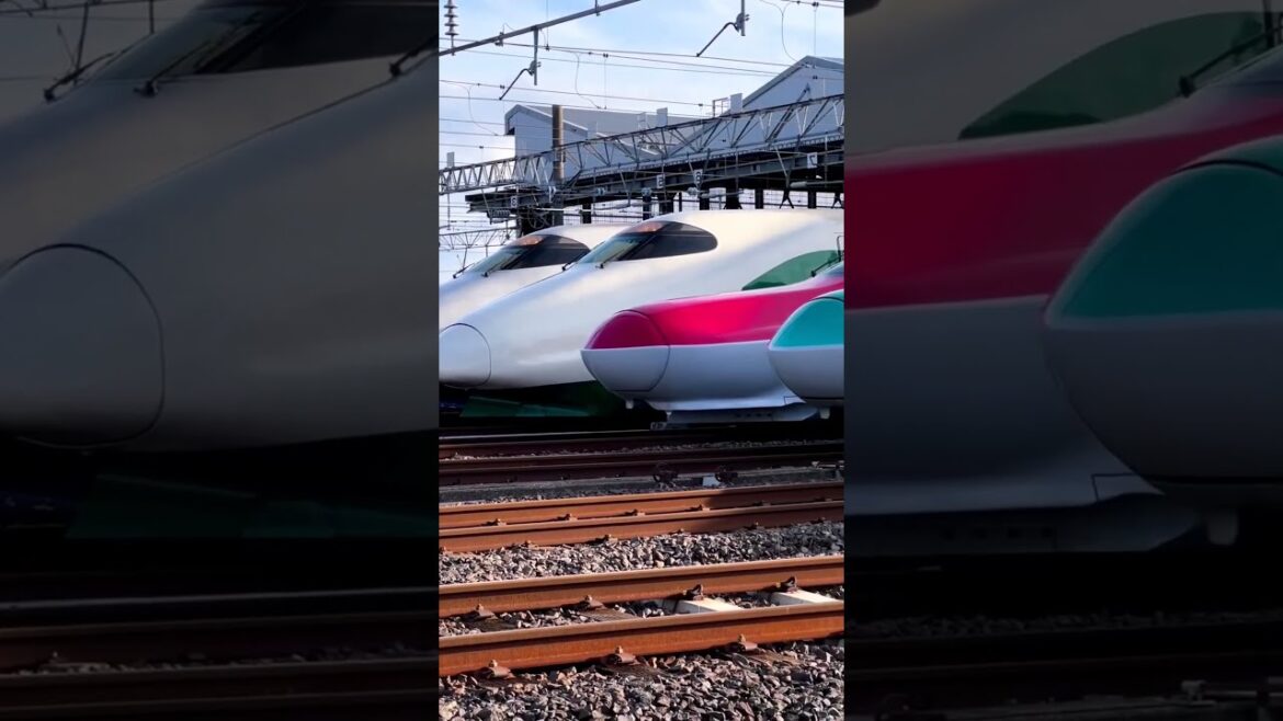 Travel with Shinkansen #shinkansen #travel #youtubeshorts