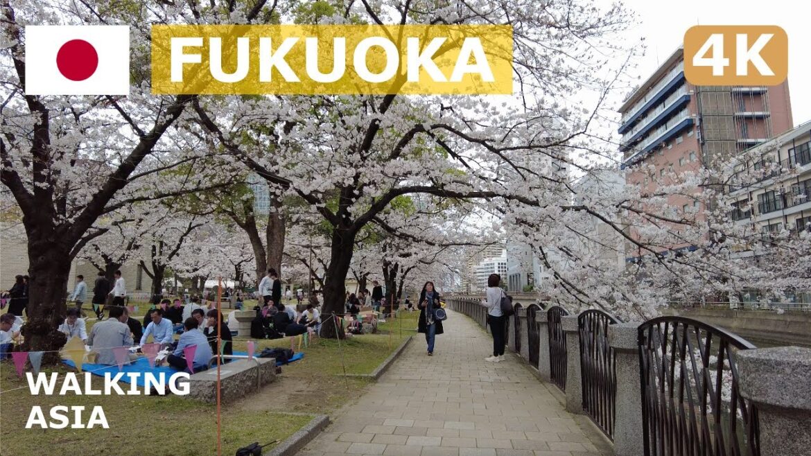 🇯🇵 Japan, Fukuoka: Acros Fukuoka, Canal City Hakata, MaxValu Express Narayamachi Walking Tour – 4K 🇯🇵 Japan, Fukuoka: Acros Fukuoka, Canal City Hakata, MaxValu Express Narayamachi Walking Tour - 4K