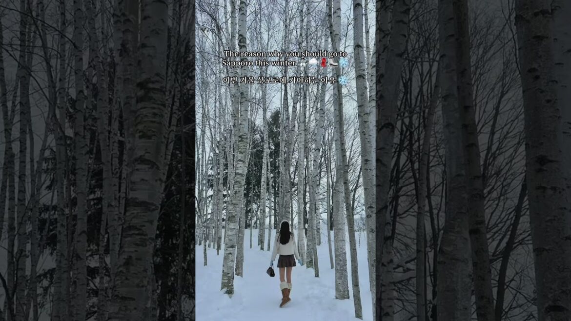 홋카이도 북해도 삿포로 여행 ㅣ Sapporo Hokkaido travel #japan #travel #일본 #여행 #비에이