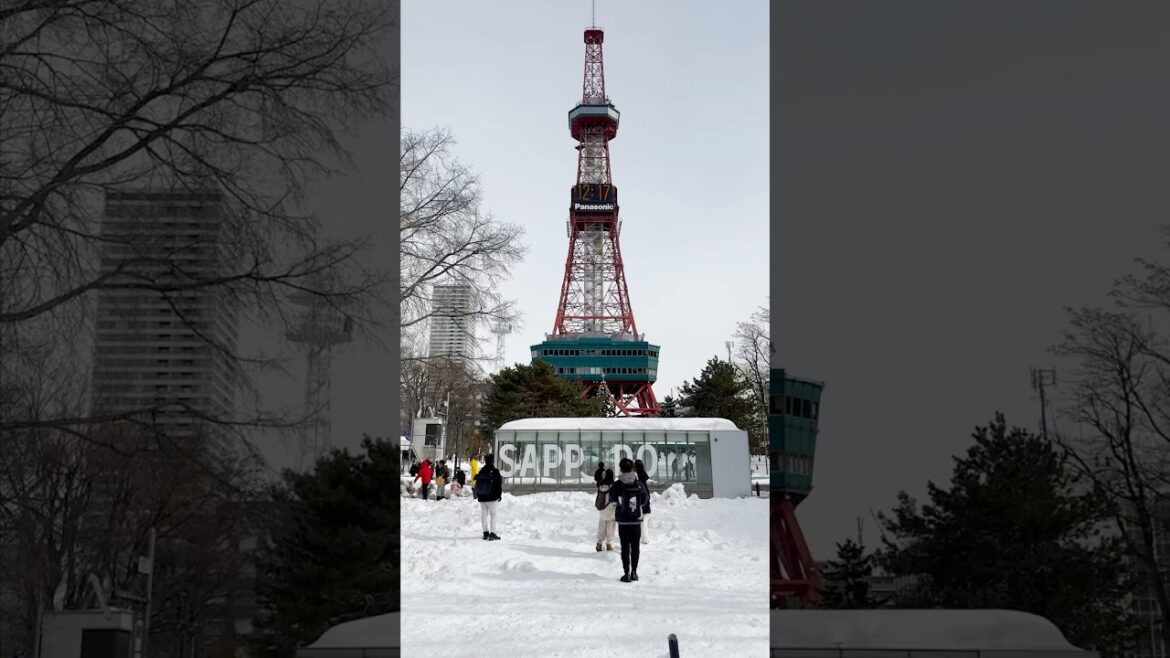Sapporo is a HUGE vibe during winter ❄️ #shorts #japan #travel Sapporo is a HUGE vibe during winter ❄️ #shorts #japan #travel