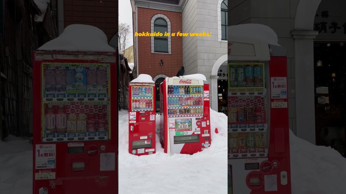 Hokkaido will be a winter wonderland soon ❄️ #travel #japan #hokkaido
