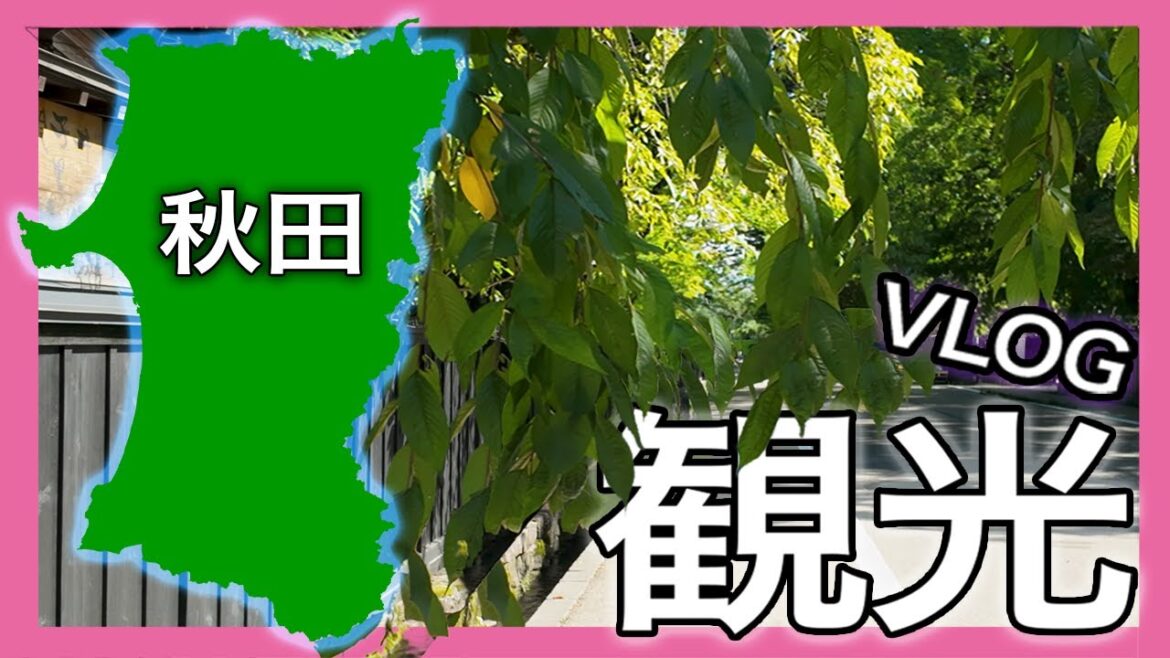【秋田観光】絶景と温泉とグルメ!定番スポットから穴場まで大満足vlog #秋田 #東北旅行 【秋田観光】絶景と温泉とグルメ!定番スポットから穴場まで大満足vlog #秋田 #東北旅行