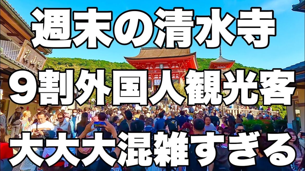 【4K】2024年10月20日（日）週末の京都清水寺。9割外国人観光客で大大大混雑すぎる！周末的京都清水寺。90%都是外国游客、非常拥挤！