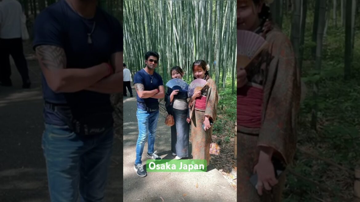 Osaka Japan #shorts#videos#viral#travel#train