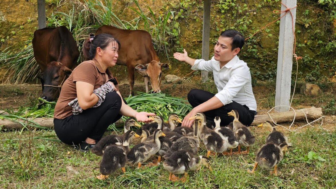 good hearted man always gives surprise to single mother.  ly tu tay good hearted man always gives surprise to single mother.  ly tu tay