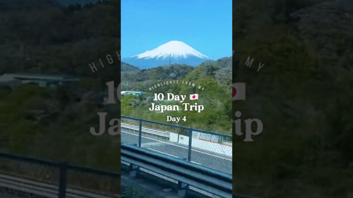 🎌 [Mini Vlog] 10-Day Japan Trip | Day 4: Mt. Fuji → Hakone 🗻 | #日本 #japantravel