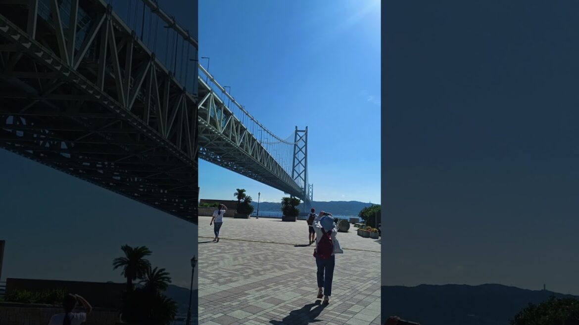 #shorts 神戶的舞子公園 #日本 #明石海峽大橋