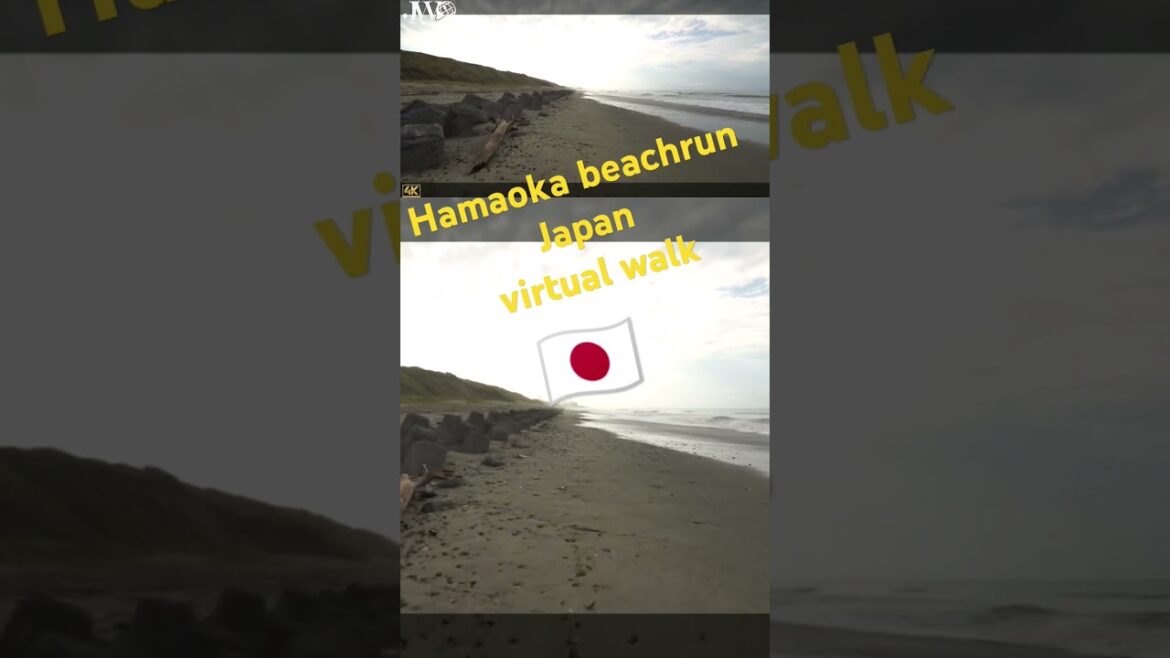 Hamaoka beach #浜岡原発 #浜岡海岸 #beachwalk