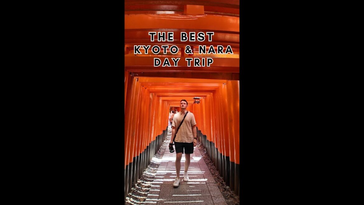 Kyoto & Nara BEST Day Trip from Osaka! Kyoto & Nara BEST Day Trip from Osaka!