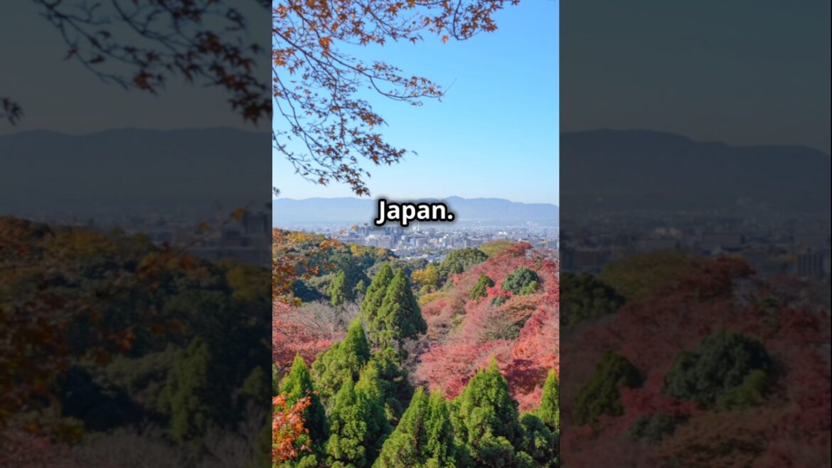 Here are 5 dream destinations on Earth, each offering unique landscapes and experiences:🎉