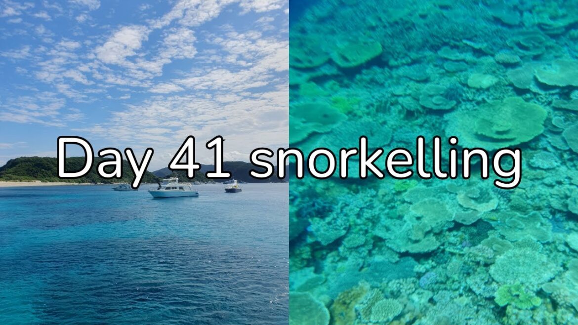 Solo travel vlog Day 41 Snorkelling in Okinawa Solo travel vlog Day 41 Snorkelling in Okinawa